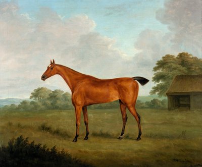 風景の中の栗の馬、1815 作： John Nott Sartorius