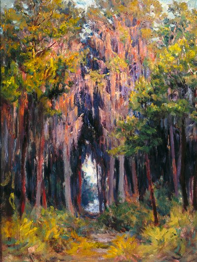Hanging Moss, São Petersburgo (óleo sobre tela) 作： John Otis Adams