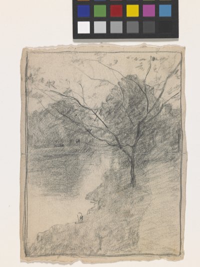 小川のそばの木（オフホワイトの紙に鉛筆） 作： John Otis Adams