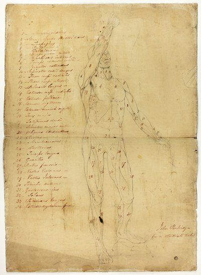 悪のエコルシェ 作： John Partridge