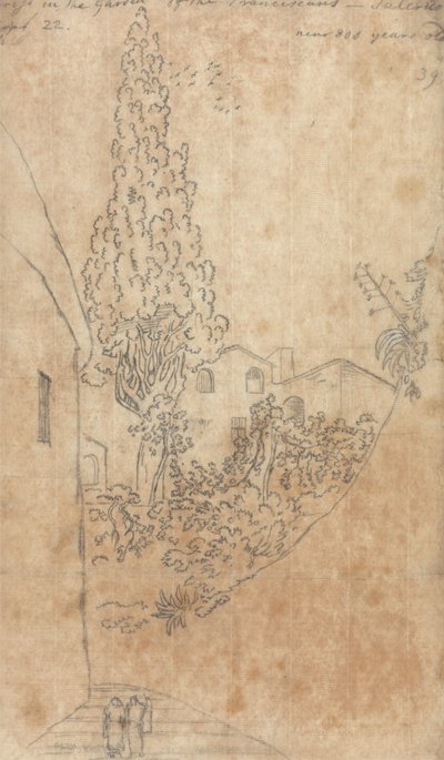 サレルノのフランシスコ会庭園のヒノキ 作： John Robert Cozens