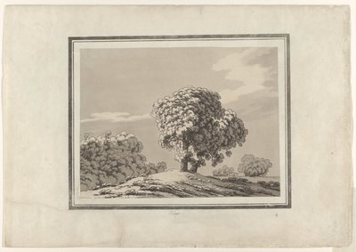エルム 作： John Robert Cozens