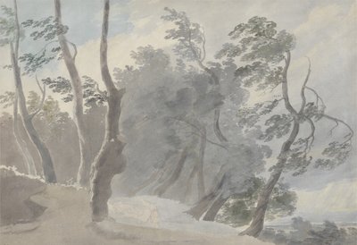 Galleria di Sopra、Albano（グラファイトと紙にw - c） 作： John Robert Cozens