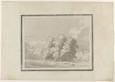 トチノキ 作： John Robert Cozens