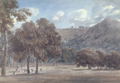Il Parco da Degle &39;Astroni-樹木が茂ったクレーターの底、狩りが進行中、1783年（グラファイトと紙に紙） 作： John Robert Cozens