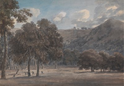 Il Parco degli Astroni - 狩りが進行中の樹木が茂った火口の底 作： John Robert Cozens