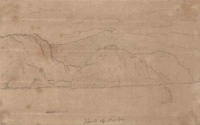 ニシダ島 作： ジョン・ロバート・コーズ