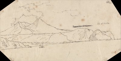 ニシダ島 作： ジョン・ロバート・コーズ