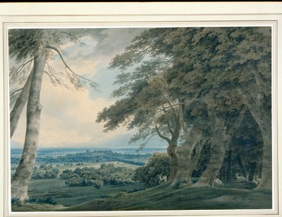 南西部のウィンザー城、1787〜99年頃（紙にwc） 作： John Robert Cozens