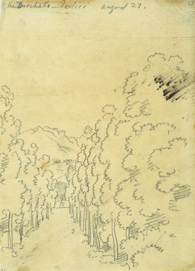 トレースのアルバムからのウッドランド 作： John Robert Cozens