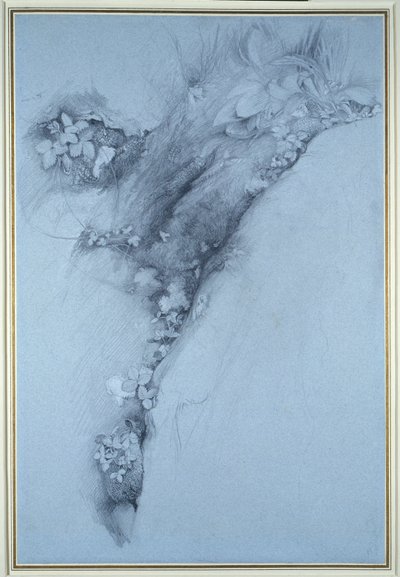 モスとワイルドストロベリー 作： John Ruskin