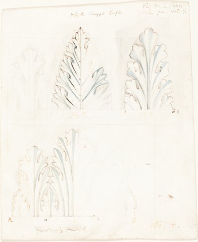 「ベニスの石」のためのアカンサスモチーフの装飾習作 作： John Ruskin