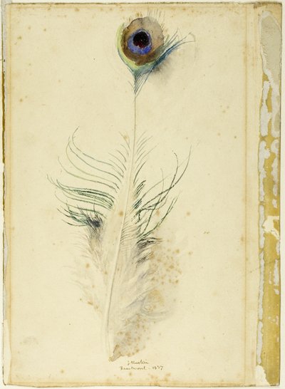 孔雀の羽 作： John Ruskin