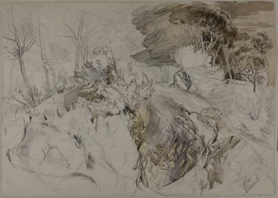 岩の多い風景の中の低木と木 作： John Ruskin