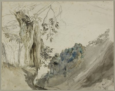 スペインの栗 作： John Ruskin