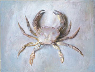 ベルベットクラブの研究、おそらく1870年秋 作： John Ruskin