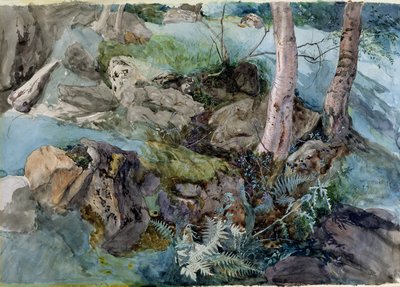 1843年、パースシャーのクロスマウントでの森の中の岩やシダの研究（紙にトイレ） 作： John Ruskin