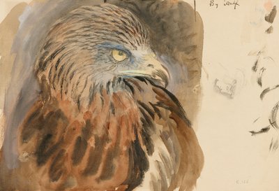 凧の頭、生命から、1870年8月30日から9月1日（淡い茶色の網目紙のグラファイト上の水彩画とボディカラー） 作： John Ruskin