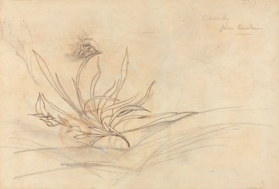 岩だらけの川岸 作： John Ruskin