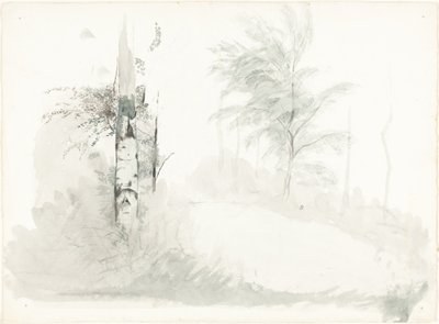 木の研究 作： John Ruskin