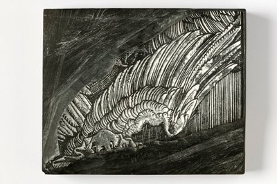 デュラー作「翼」（木彫りのブロック） 作： John Ruskin