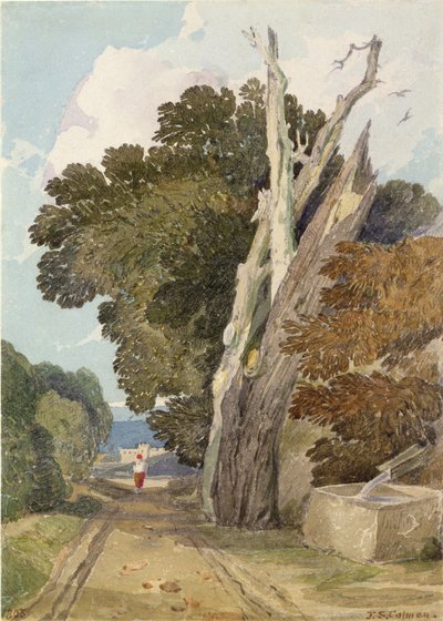 雷に襲われたスペインの栗の木（紙と紙と鉛筆） 作： John Sell Cotman