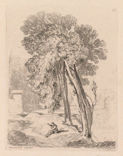 Liber Studiorum: プレート 18、Norwich Thorp の樹木、ノーフォーク 作： John Sell Cotman