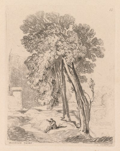 研究は、1838年、ノーフォーク、ノーリッチソープにある無料のプレート18ツリーです。 作： John Sell Cotman