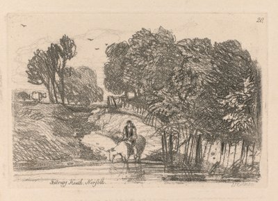 研究は無料のプレート20、フェルブリッグヒース、ノーフォーク、1838です。 作： John Sell Cotman