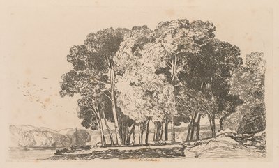 Liber Studiorum: プレート 3、トゥイッケナム近くの木 作： John Sell Cotman