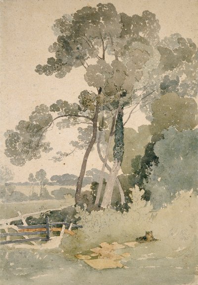 1865年、ヨークシャー州ブランズビー近郊 作： John Sell Cotman