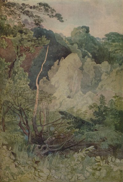 グレタ川の近くの木、1923 作： John Sell Cotman