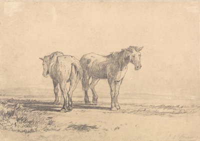野原に立つ2頭の老馬 作： John Sell Cotman
