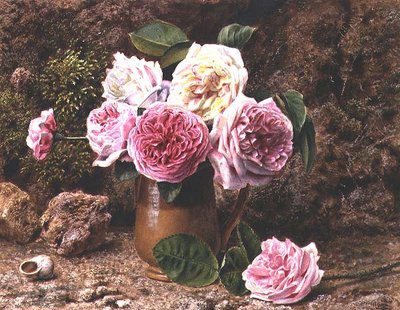 薔薇（水彩・ガッシュ） 作： John Sherrin