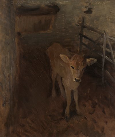 ジャージーカーフ 作： John Singer Sargent