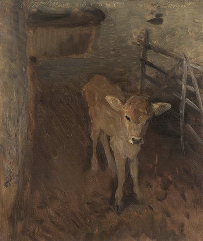 ジャージーの子牛、1893年 作： John Singer Sargent