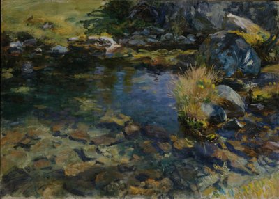 アルペンプール、1907 作： John Singer Sargent