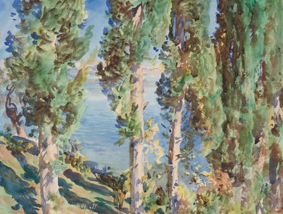  作： John Singer Sargent