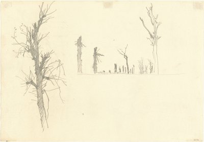 荒廃した樹木［裏面］、1918年 作： John Singer Sargent