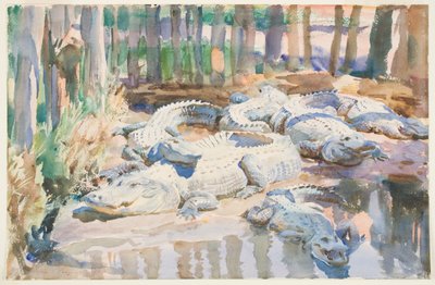 マディアリゲーター、1917年（紙のグラファイトの上にトイレ） 作： John Singer Sargent