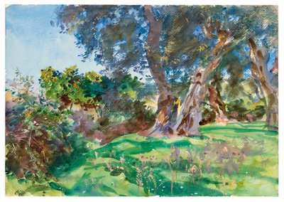オリーブの木、コルフ島 作： John Singer Sargent
