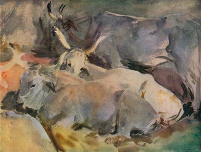 シエナの牛、1910年 作： John Singer Sargent