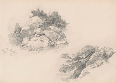 Rocks and Brush、ヒンターゼー、ドイツ、1871年（woverペーパー上のグラファイト） 作： John Singer Sargent