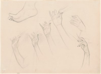 「フメ・ダンブル・グリ」のための習作 作： John Singer Sargent