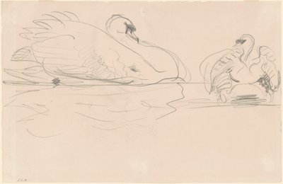 水の中の白鳥 作： John Singer Sargent