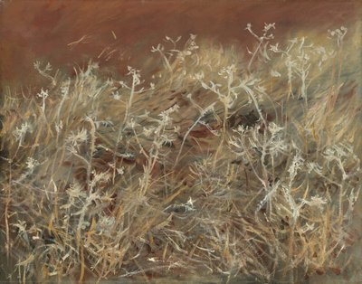 アザミ、1885-89 作： John Singer Sargent