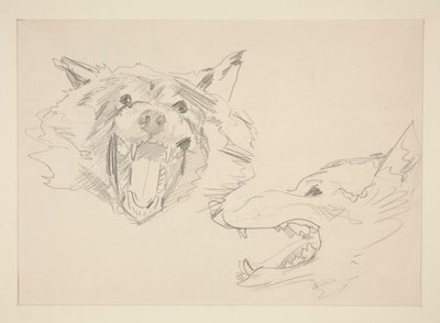 オオカミの 2 つのビュー 作： John Singer Sargent