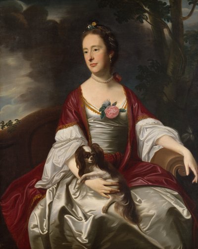 Jerathmael Bowers夫人1763年。 作： John Singleton Copley