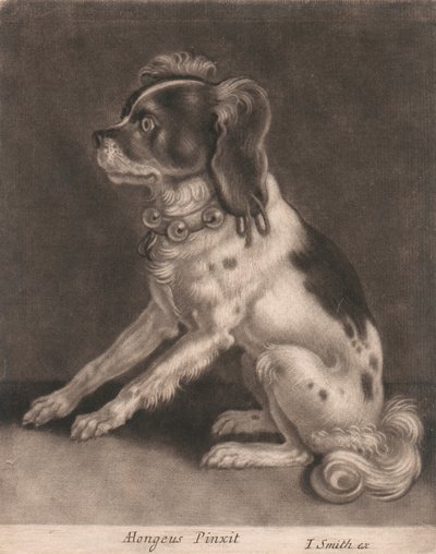 ベル付き首輪の犬 作： John Smith