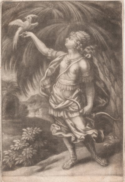Falconer 作： John Smith